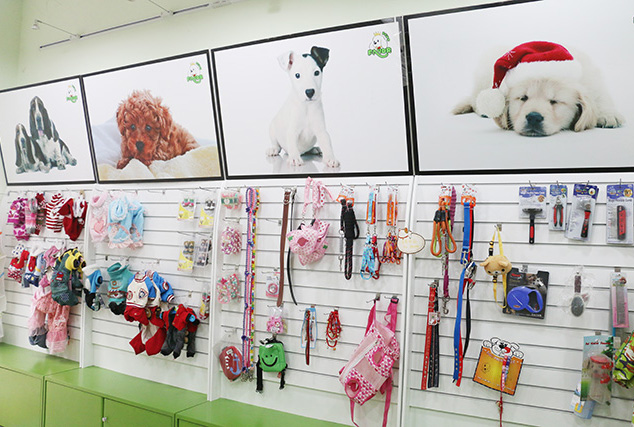 ����괴ҵ������