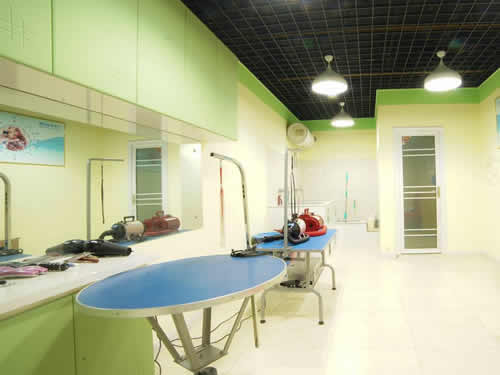 ���������ĸ�Ʒ�ƺ�