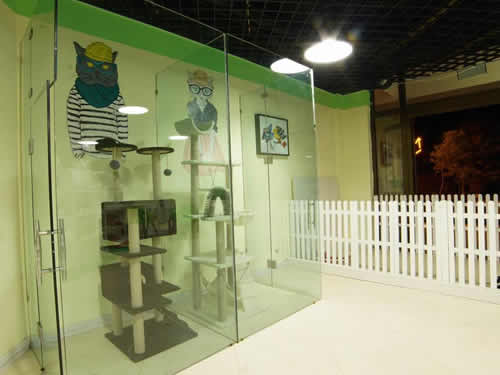 ���������ĸ�Ʒ�ƺ�