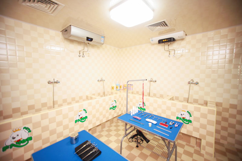 ���˳����׬Ǯ�𣨳�������ѡʥ�裭�����Ƶ��̣�