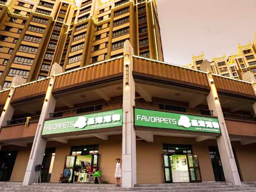 ���˳����׬Ǯ�𣨳�������ѡʥ�裭�����Ƶ��̣�