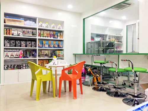 �����������ô�����������ѡʥ�裭�������ѡַ��