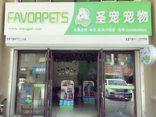 ���������Ҫ�����ʽ𣨳�������ѡʥ��-�����ѵרҵ������