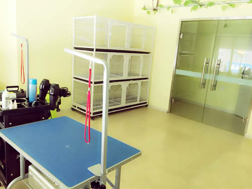 ���������Ҫ�����ʽ𣨳�������ѡʥ��-�����ѵרҵ������